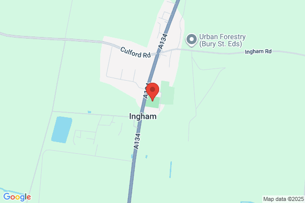 Ingham & Co