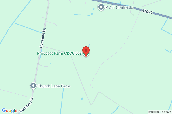 Prospect Farm Cattery