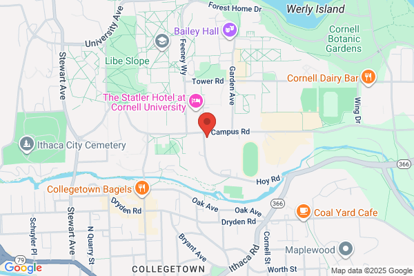 Cornell Computer systems Ltd