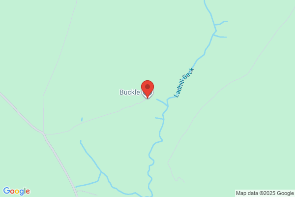Buckle