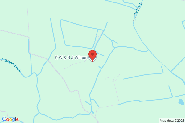 K W Wilson