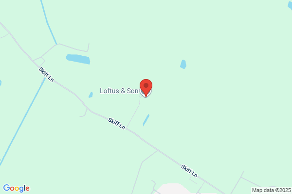 Loftus & Son