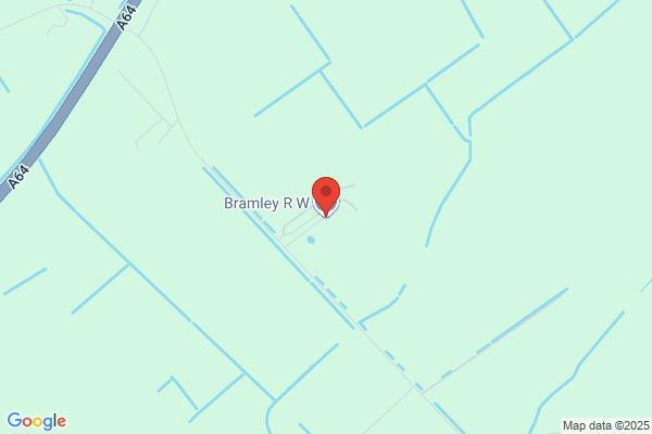 R W Bramley