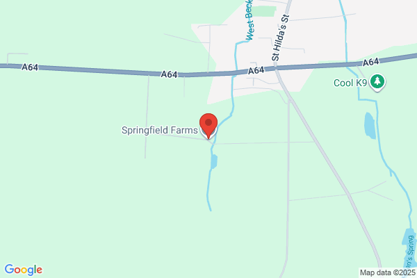 Spring Field Farm