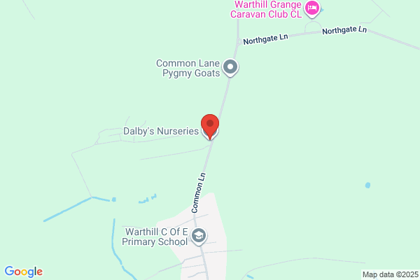 Dalby Nurseries