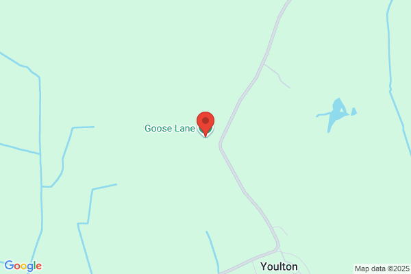 Goose Farm