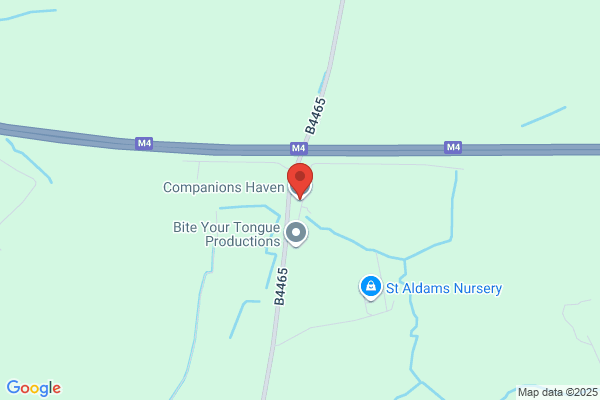 Companions Haven Ltd