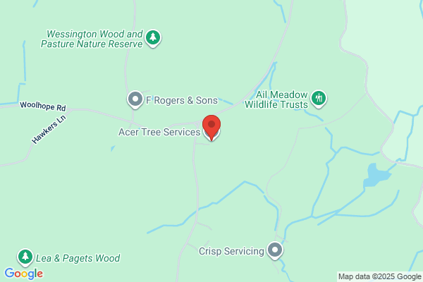 Acer Tree Services Ltd