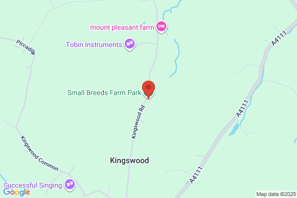 Small Breeds Farm Park & Owl Centre