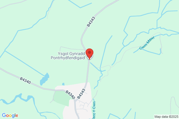 Pontrhydfendigaid C P School
