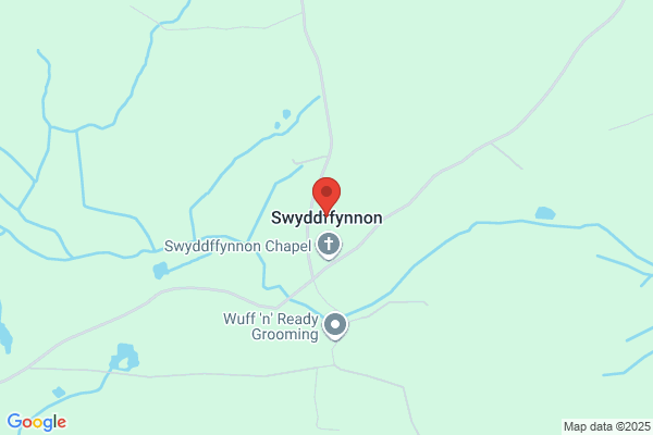 Swyddffynnon Primary School